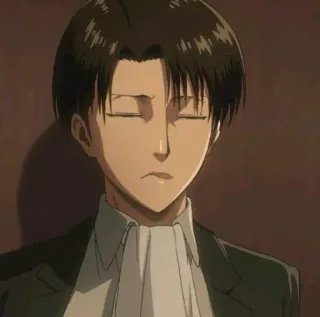 🌚 28ca5146 Levi Ackerman Attack on Titan anime, serious, character, soldier whatsapp sticker
