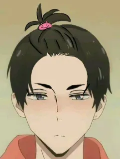 🥰 a71aaa2f anime, character, bun, portrait whatsapp sticker