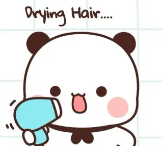 ❤️ 533f06d3 Drying Hair.... Panda, Suszarka, Uroczy, Zwierzę, Kreskówka telegram sticker