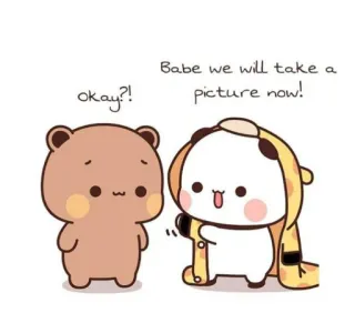 📷 72843353 Babe we will take a picture now! okay?! kreskówka, misie, słodkie, zwierzę, miłość telegram sticker