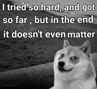 😢 08738081 doge I tried so hard, and got so far, but in the end it doesn't even matter доге, мем, грустный, собака, текст whatsapp sticker