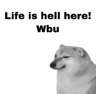 😂 1bb9d120 Life is hell here! Wbu доге, собака, мем, грустно, жизнь whatsapp sticker