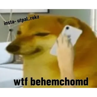 😂 1dec1e99 doge wtf behemchomd собака, мем, животное, телефон, wtf whatsapp sticker