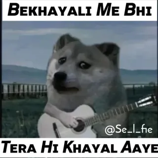 ❤️ 2ce5aa31 BEKHAYALI Me Bhi
TERA HI KHAYAL AAYE собака, гитара, грустный, мем, музыка whatsapp sticker