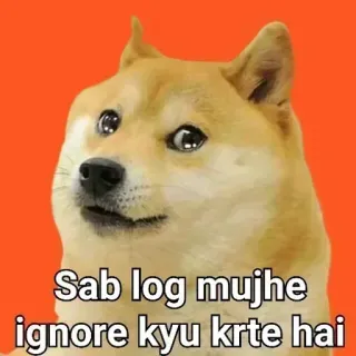 🥺 4fcd523f Sab log mujhe ignore kyu krte hai doge, собака, мем, грустный, хинди whatsapp sticker