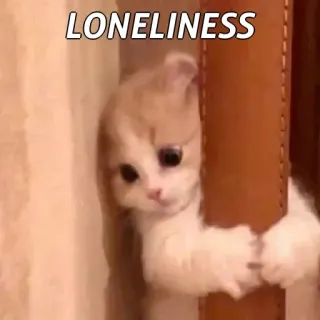 🙂 7075f9df LONELINESS кот, одинокий, грустный, животное, котёнок, питомец whatsapp sticker