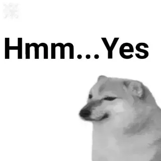 ✨ 852ae312 Doge Hmm...Yes собака, мем, смешно, да, хммм, чимс whatsapp sticker