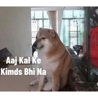 😏 d3b0e57b Aaj Kal Ke Kimds Bhi Na собака, мем, доге whatsapp sticker