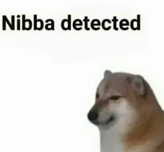 🥲 d96f06da Nibba detected собака, мем, обидный whatsapp sticker