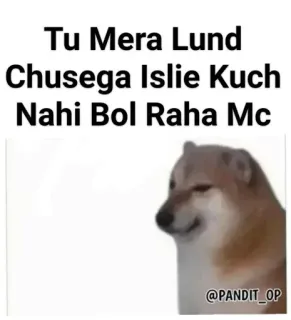 🐾 de8f9863 Tu Mera Lund Chusega Islie Kuch Nahi Bol Raha Mc собака, мем, оскорбительный, текст, юмор whatsapp sticker
