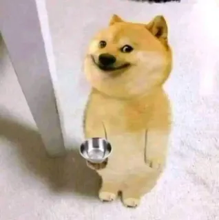 😣 1ecedd37 Doge cachorro, meme, shiba inu, tigela, animal de estimação telegram sticker