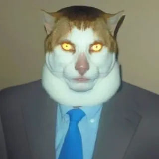 🗿 2017d97f gato, animal, terno, gravata, humanoide telegram sticker