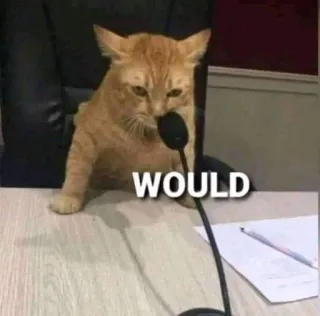 😞 a41f930f WOULD gato, microfone, escritório, meme, engraçado telegram sticker