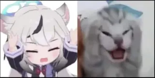 😘 c2658d63 animal, gato, fofo, meme, anime, animais telegram sticker