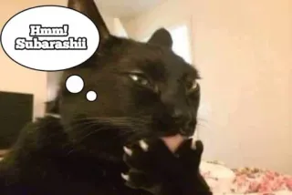 😏 de848be4 Hmm! Subarashii gato, gato preto, subarashii, hmmm, animal telegram sticker