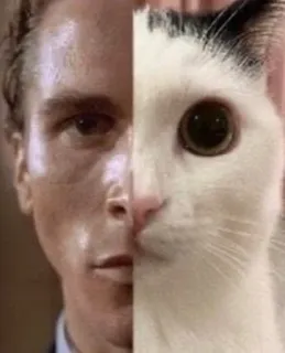 🗿 f4a3fae5 Patrick Bateman American Psycho Meme, Gato, Rosto dividido, American Psycho telegram sticker