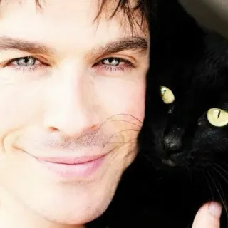 😍 79c30a45 мужчина, кот, портрет, черный кот, лицо, актер telegram sticker