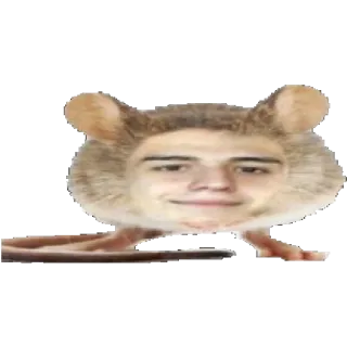 🐭 e71fc519 rat, visage, drôle, mème, animal, rongeur telegram sticker