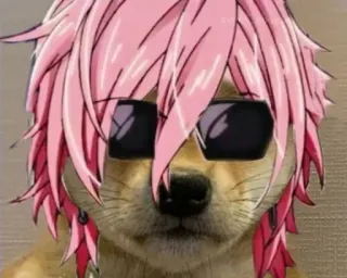 🍄 48926407 Hund, Shiba Inu, Sonnenbrille, Anime-Haare, Pinke Haare, Meme, Lustig telegram sticker