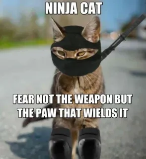 🤔 04e8e140 NINJA CAT
FEAR NOT THE WEAPON BUT THE PAW THAT WIELDS IT แมวนินจา, แมว, นินจา, อาวุธ, ตลก whatsapp sticker
