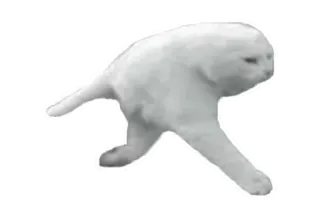 🚶 3f0a4b10 แมว, มีม, สัตว์, ตลก, สัตว์เลี้ยง whatsapp sticker