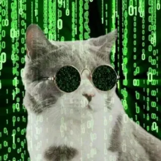 Sreek's cat pack Vol.3 telegram stickers