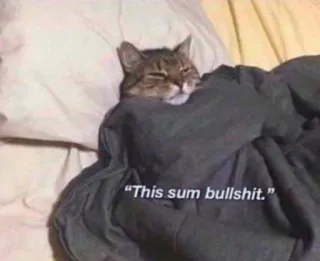 😒 935829ce This sum bullshit. แมว, เตียง, ตลก, มีม, สัตว์, สัตว์เลี้ยง whatsapp sticker