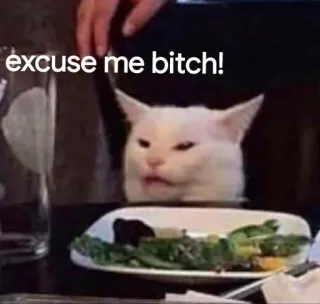😒 d8cb5bb1 excuse me bitch! แมว, มีม, ตลก, ประชดประชัน whatsapp sticker