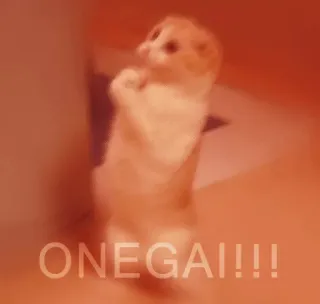 🇯🇵 f05868ad ONEGAI!!! แมว, สัตว์, ขอร้อง, น่ารัก, โปรด, Onegaishimasu whatsapp sticker