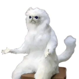 🤷‍♂ 29a73f11 dog, meme, confused, animal, pet whatsapp sticker