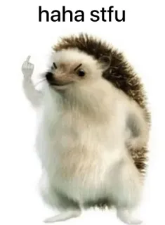 😠 3e2c68d9 haha stfu hedgehog, middle finger, offensive, animal, meme, stfu, haha whatsapp sticker
