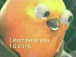 🦜 e12f0fee Listen here, you little shit funny, bird, meme, offensive, insult, text, sarcastic whatsapp sticker