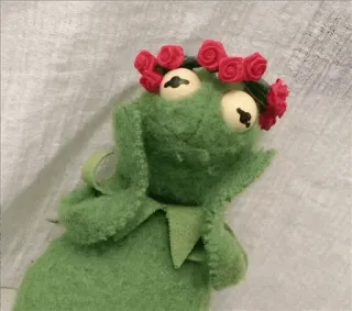 😍 eb909ce3 Kermit the Frog kermit, frog, muppet, flower crown, cute whatsapp sticker