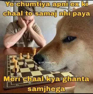 🤔 0bf40881 Ye chumtiya apni ex ki
chaal to samaj nhi paya
Meri chaal kya ghanta
samjhega doge, ajedrez, meme, meme indio, lenguaje ofensivo whatsapp sticker