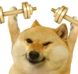 🌟 0c13b3f8 Doge doge, meme, perro, halterofilia, ejercicio, gimnasio, fitness whatsapp sticker