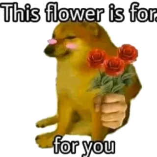 Hemidactylus's sticker pack 1 @asjuly45 telegram stickers