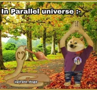 🐍 2dedfb4f In Parallel universe :- doge, universo paralelo, serpiente, meme, gracioso, perro whatsapp sticker