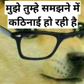 🐶 35cc5cc7 मुझे तुम्हे समझने में कठिनाई हो रही है Meme Doge, Meme indio, Gafas, Humor, Texto Hindi, Confusión whatsapp sticker