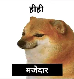 😁 370f4ea2 हीही
मजेदार perro, meme, cheems, gracioso, meme de internet whatsapp sticker