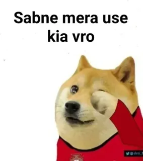 🤔 4ab51e35 Sabne mera use kia vro doge, meme, perro, gracioso whatsapp sticker