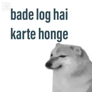 ✨ 56a446a7 bade log hai
karte honge doge, meme, perro, animal, gracioso whatsapp sticker