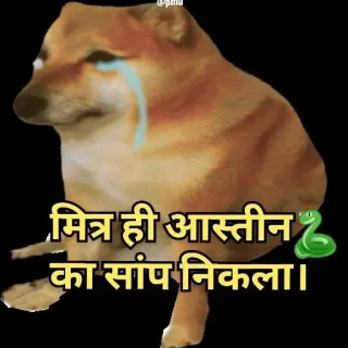 🐍 5885a74b मित्र ही आस्तीन का सांप निकला। doge, meme, hindi, perro, triste whatsapp sticker