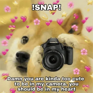 ❤ 67c4c3d4 !SNAP!
Damn you are kinda too cute
to be in my camera. you
should be in my heart perro, lindo, amor, cámara, meme, corazón, tierno, animal whatsapp sticker