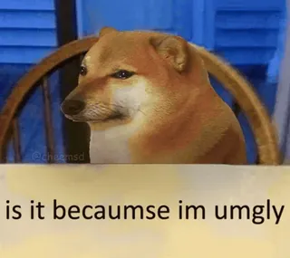 😢 6a99f94d is it becaumse im umgly doge, perro, meme, Cheems, feo, gracioso, triste whatsapp sticker