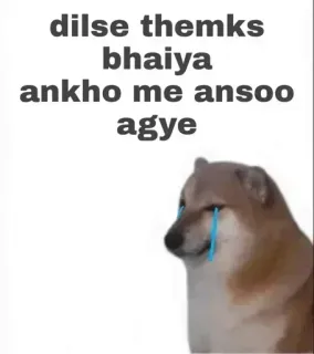 🤔 75097d85 dilse themks bhaiya ankho me ansoo agye doge, llorando, meme, gracias, hindi whatsapp sticker