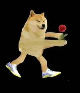 🌟 89d0c131 Doge doge, perro, meme, rosa, zapatillas, lindo whatsapp sticker