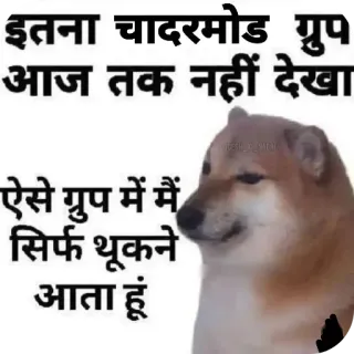 🖼 8a390acb इतना चादरमोड ग्रुप
आज तक नहीं देखा
ऐसे ग्रुप में मैं
सिर्फ थूकने
आता हूं Doge, Meme, Hindi, Perro whatsapp sticker