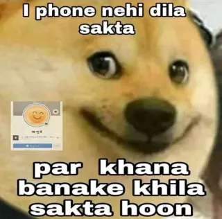 🌟 a16b38fd I phone nehi dila sakta
par khana banake khila sakta hoon doge, meme, gracioso, comida, hindi whatsapp sticker