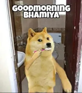 🌟 aecc4999 GOODMORNING BHAMIYA doge, perro, meme, buenos días, lavarse los dientes, baño, gracioso whatsapp sticker