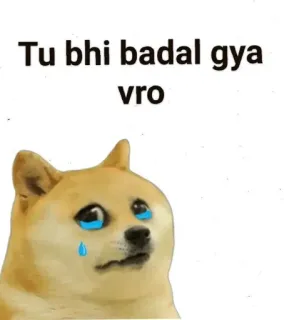 🤔 b202a1d6 Tu bhi badal gya
vro doge, meme, triste, llorando, hindi, indio whatsapp sticker